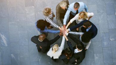 A Guide to Effective Team Development