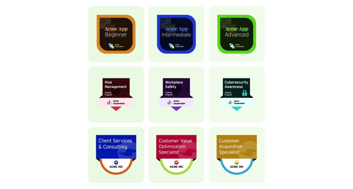 credential solutions microcredentials