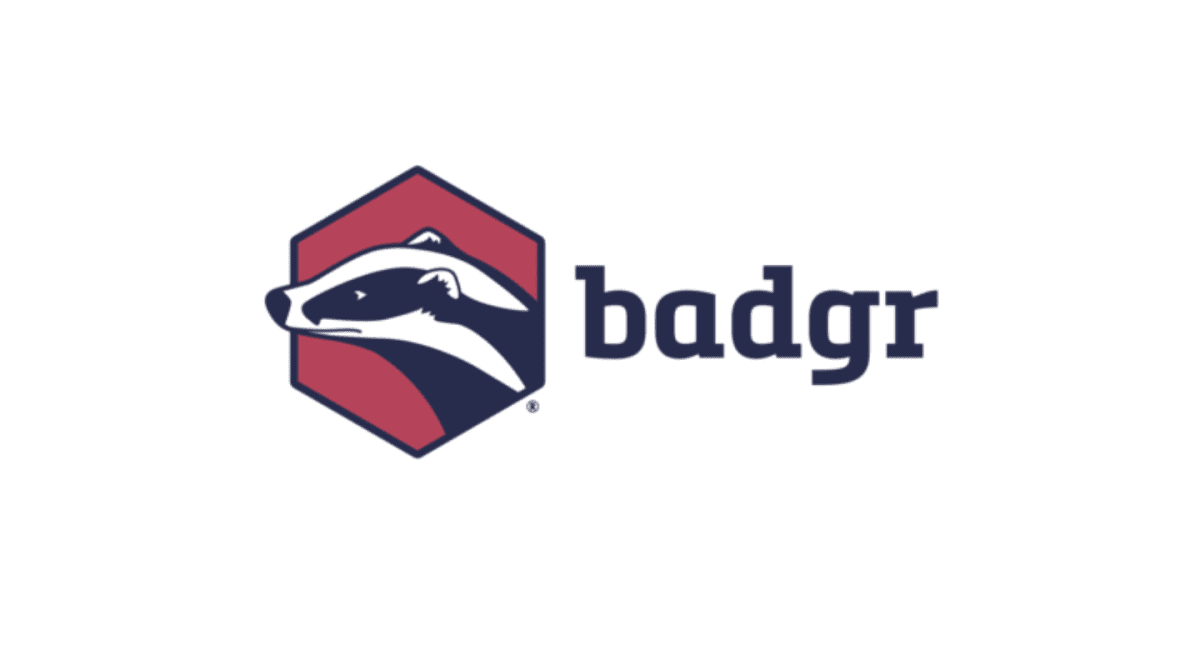 Top 12 Digital Certificate Providers 4 Badgr a digital certificate provider brand image
